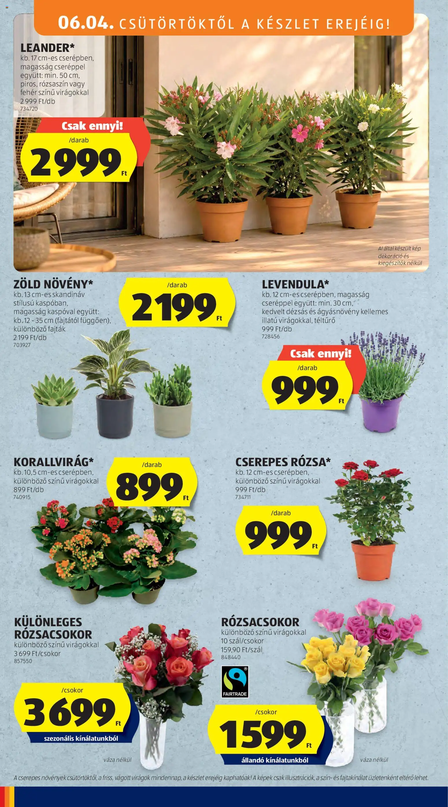 Aldi akciós ujság - amely érvényes a következő dátumtól: 04.06.2026 | Oldal: 32 | Termékek: Virágok, Váza, Dekoráció