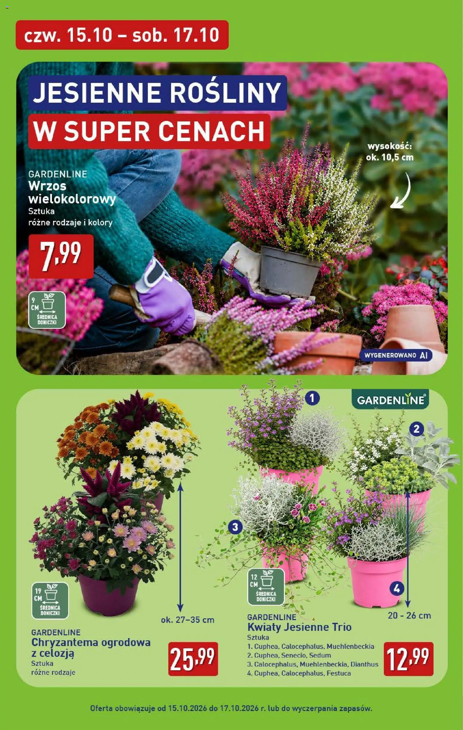 Aldi Polsko leták od 12.10.2026 | Strana: 44