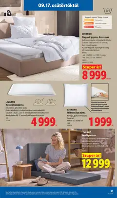 LIVARNO Mikroszálas párna, Könnyű, puha mikroszálas huzattal - amely érvényes a következő dátumtól: 2026.09.17. | Oldal: 35
