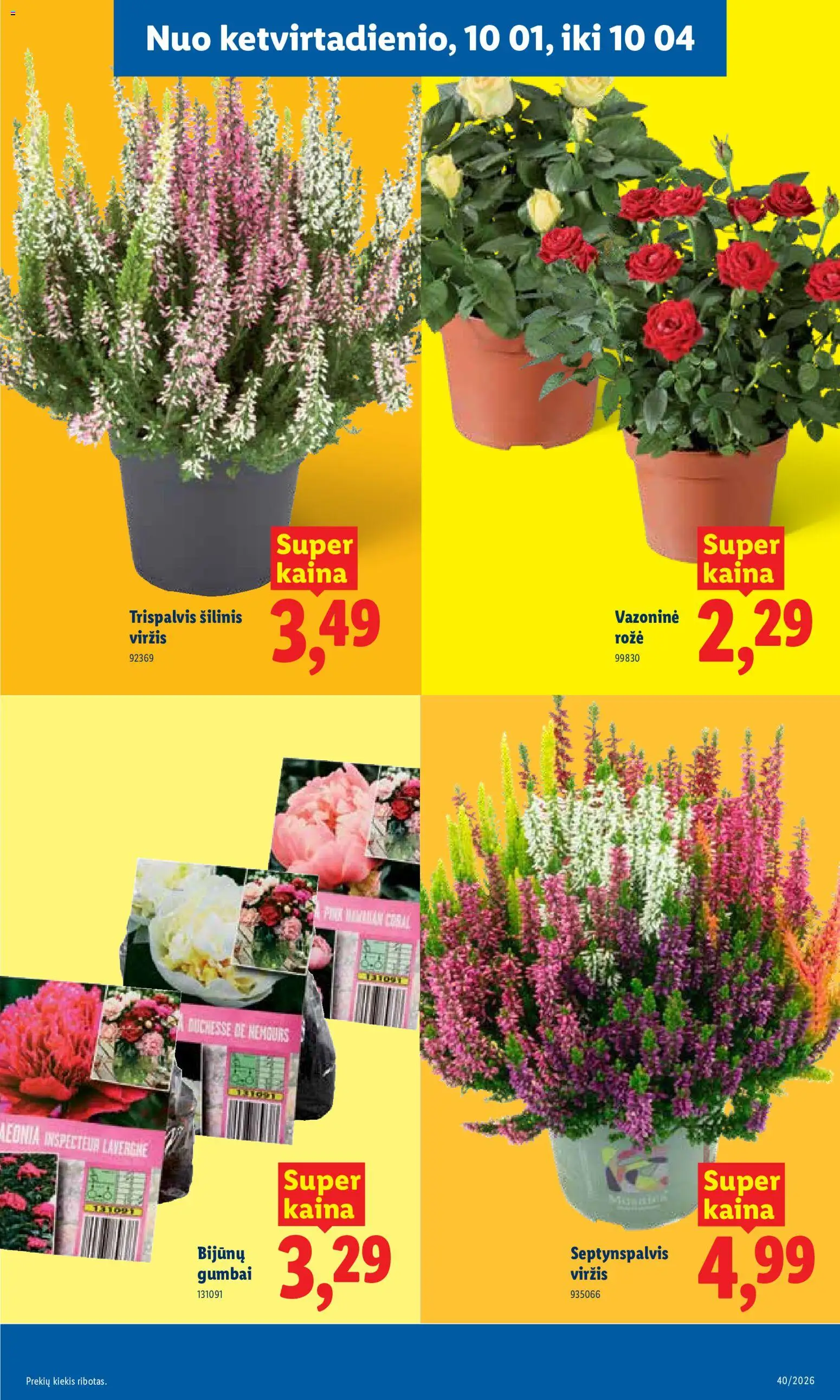 LIDL akcijos nuo 2026.09.28 | Puslapis: 27