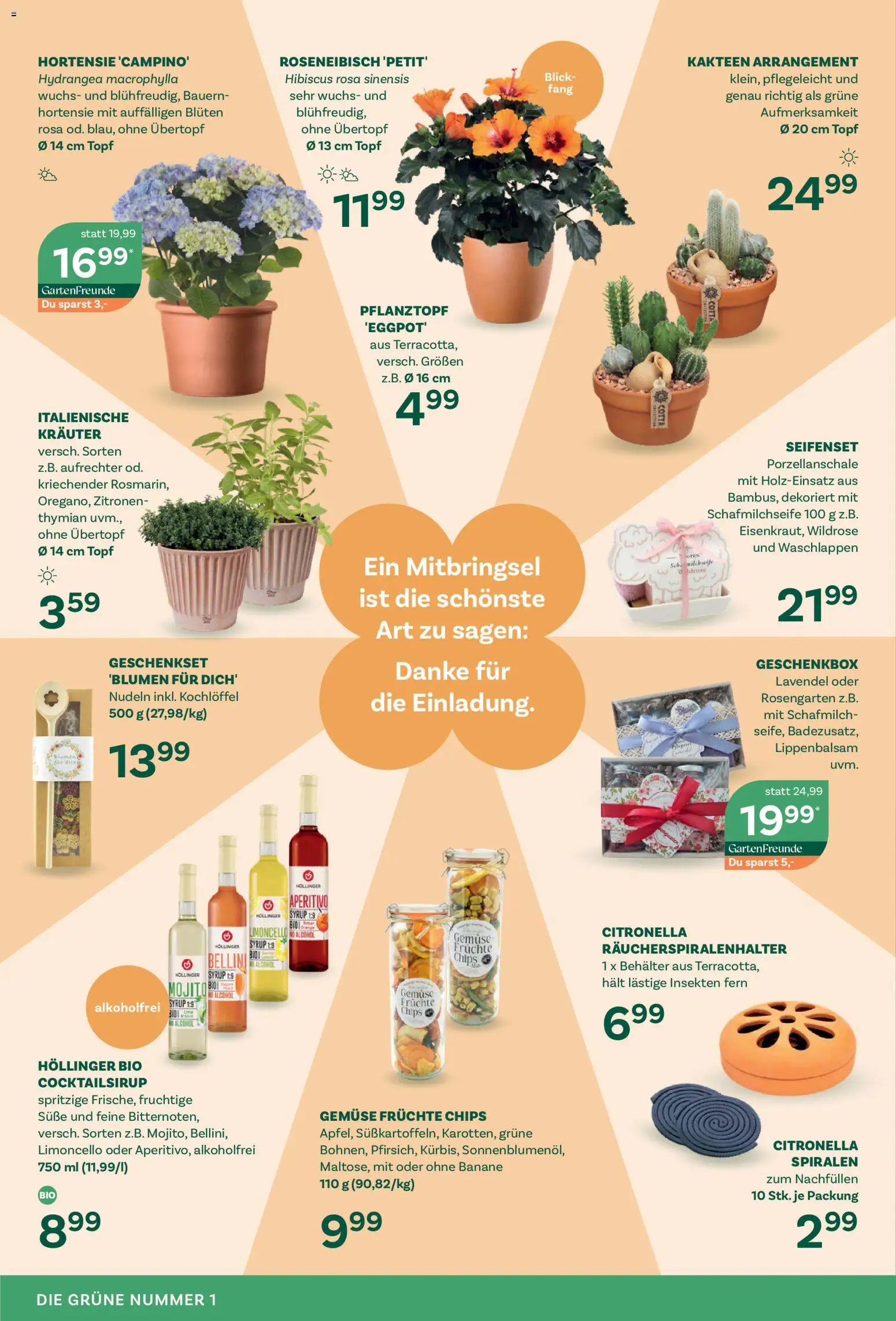 bellaflora Flugblatt gültig ab 05.06.2026 | Seite: 4 | Produkte: Chips, Gemüse, Nudeln