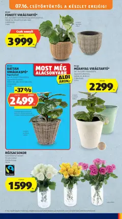 Aldi Középső sor termékei - amely érvényes a következő dátumtól: 2026.07.16. | Oldal: 11 | Termékek: Virágok, Virag, Váza