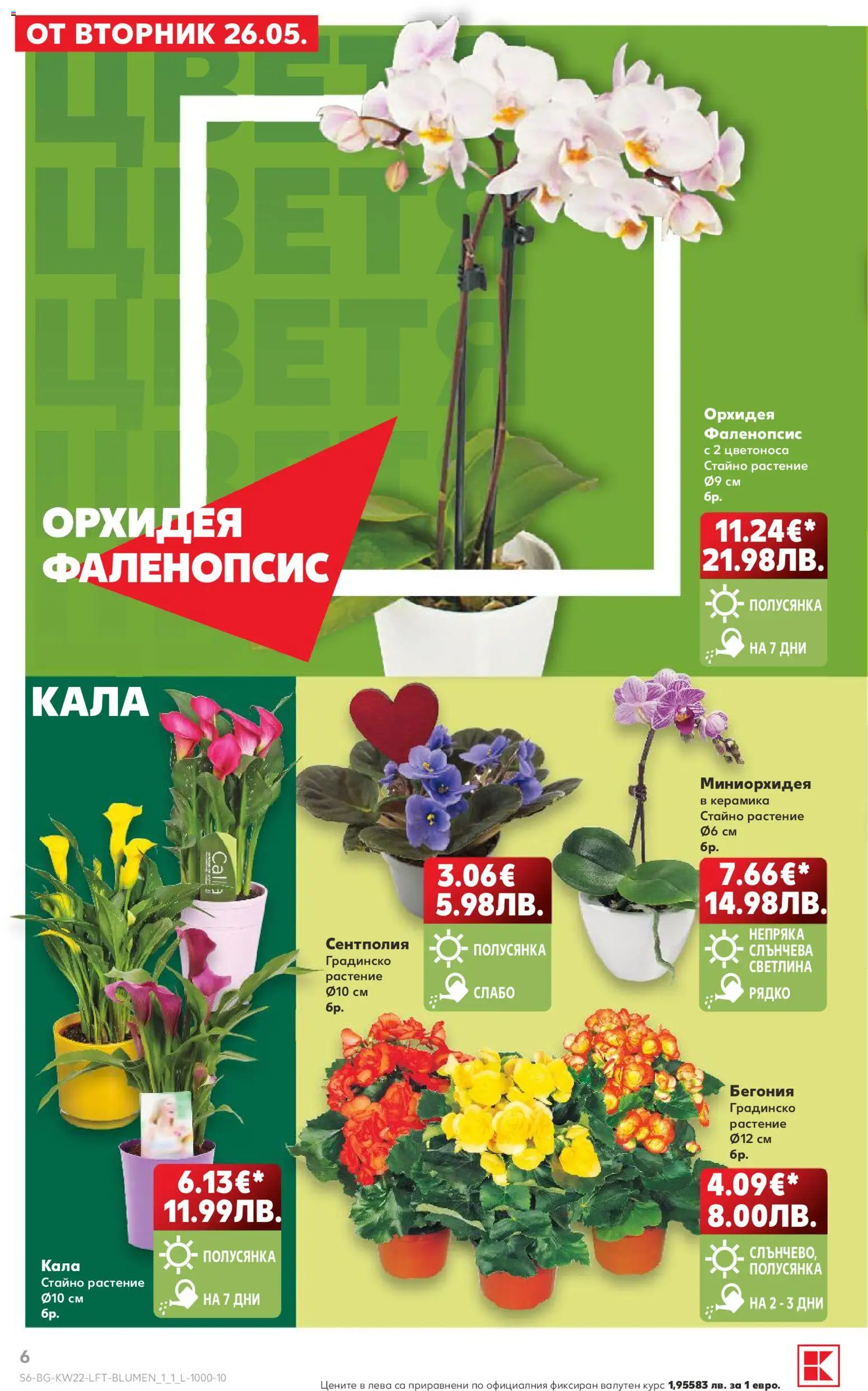 {H1} | Страница: 6 | Продукти: Орхидея