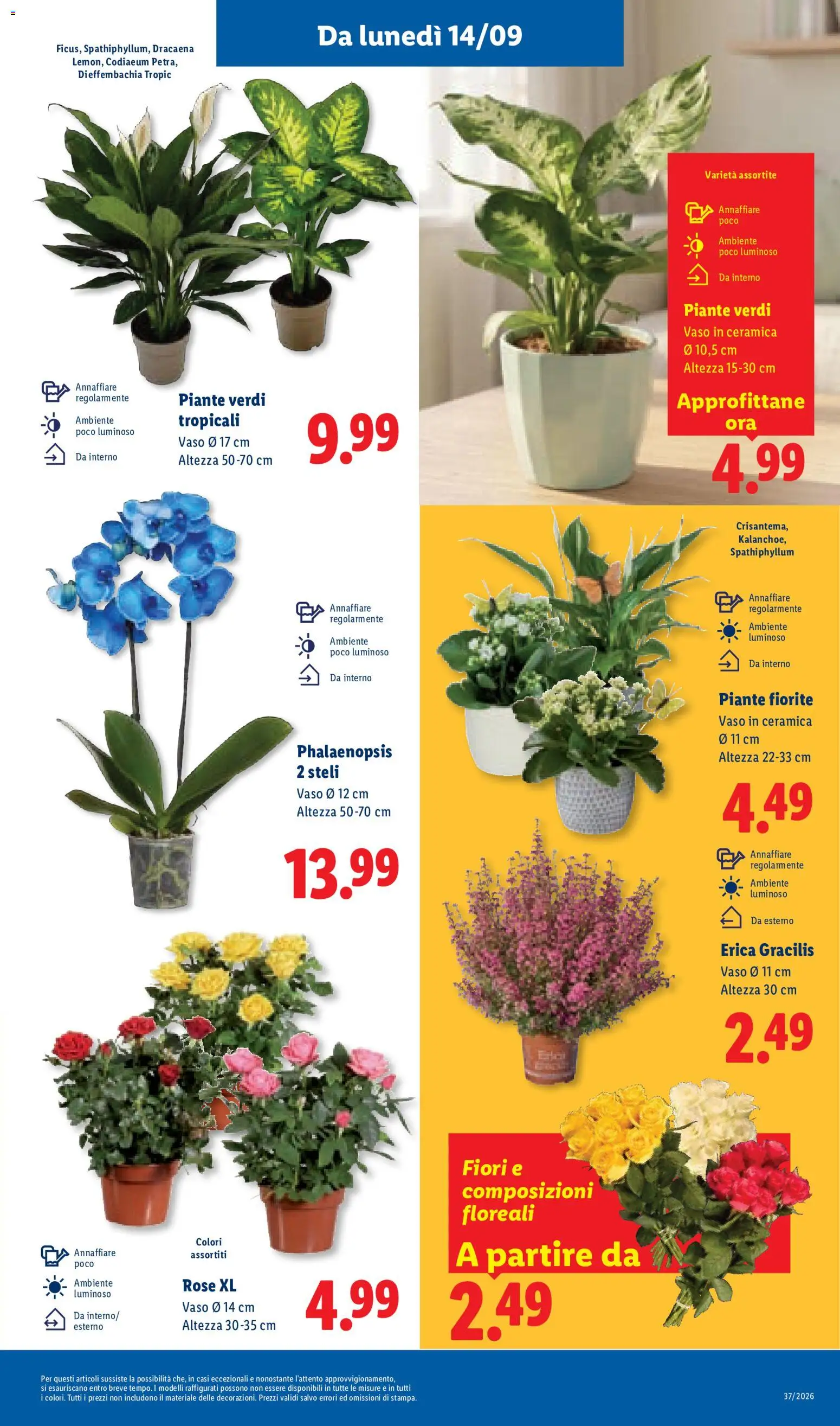 Volantino Lidl del 10/09/2026 | Pagina: 47