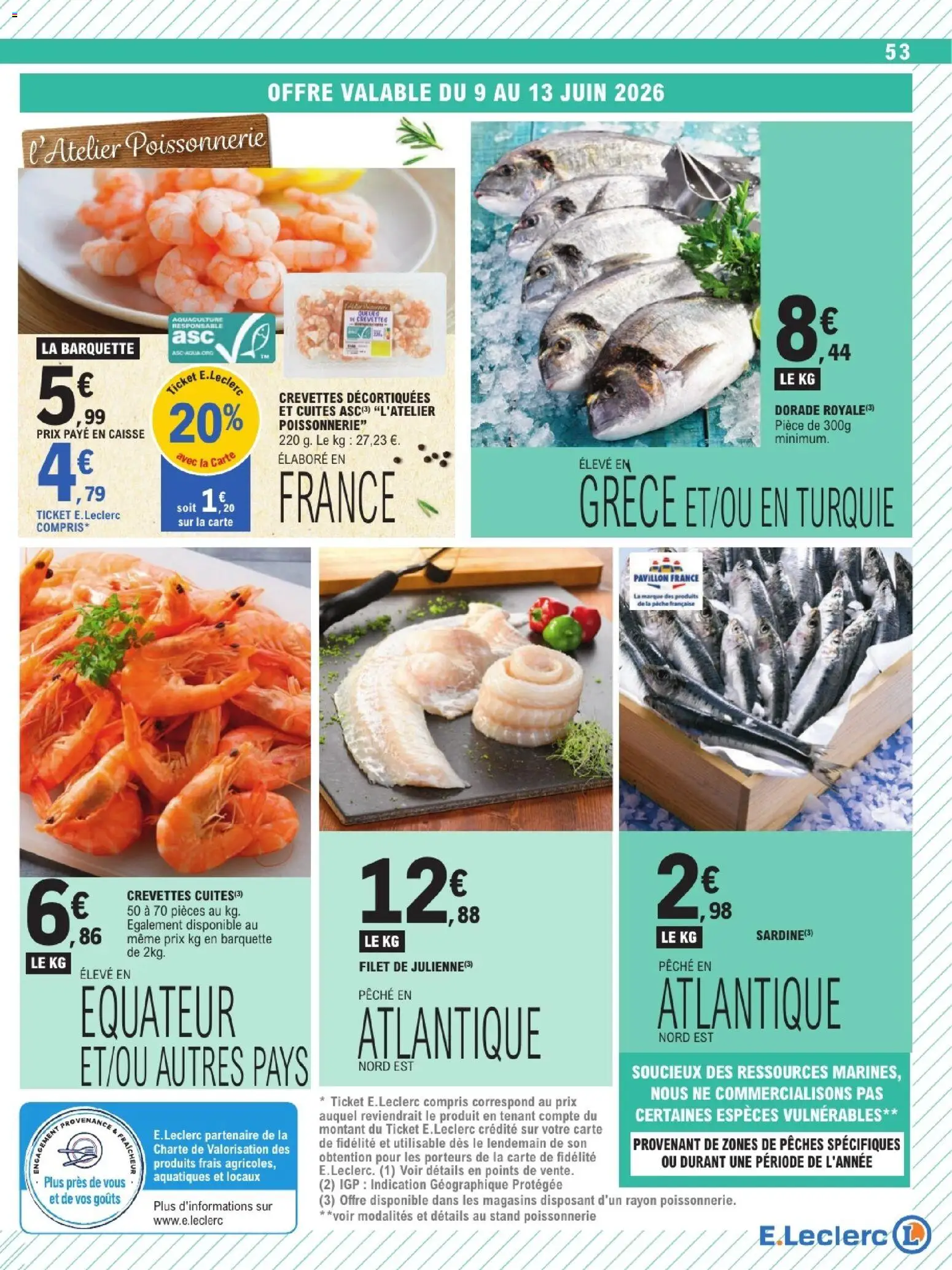 {H1} | Page: 53 | Produits: Pêche, Sardine, Poissonnerie, Dorade royale