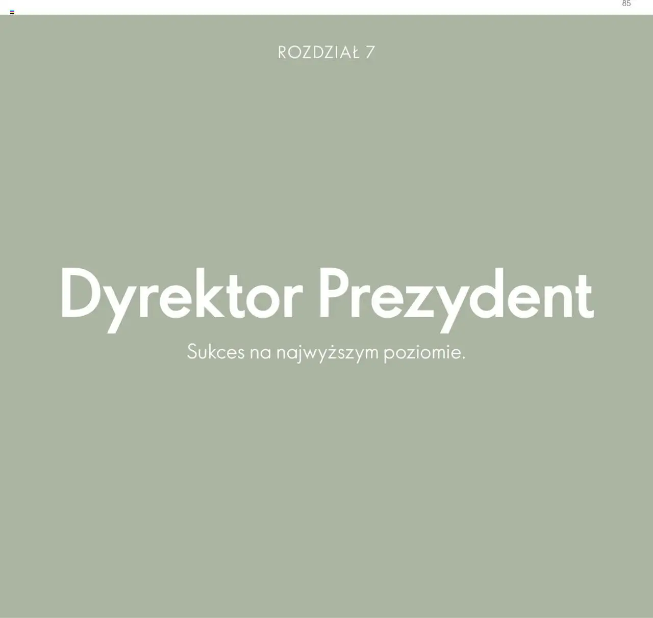 Oriflame Katalog - Strefa Korzyści Premium od 23.01.2024 | Strona: 85