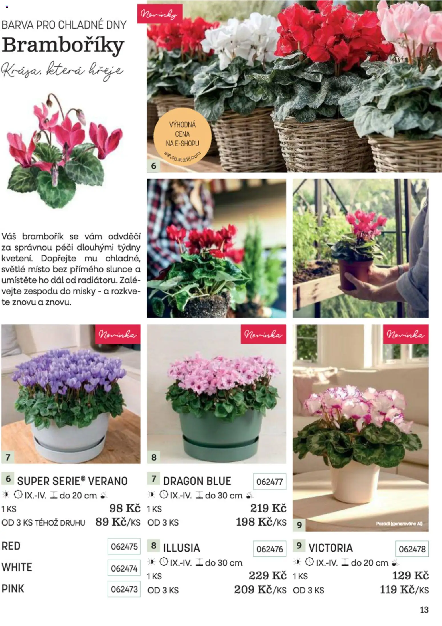Starkl katalog Podzim 2026 od 01.09.2026 | Strana: 13