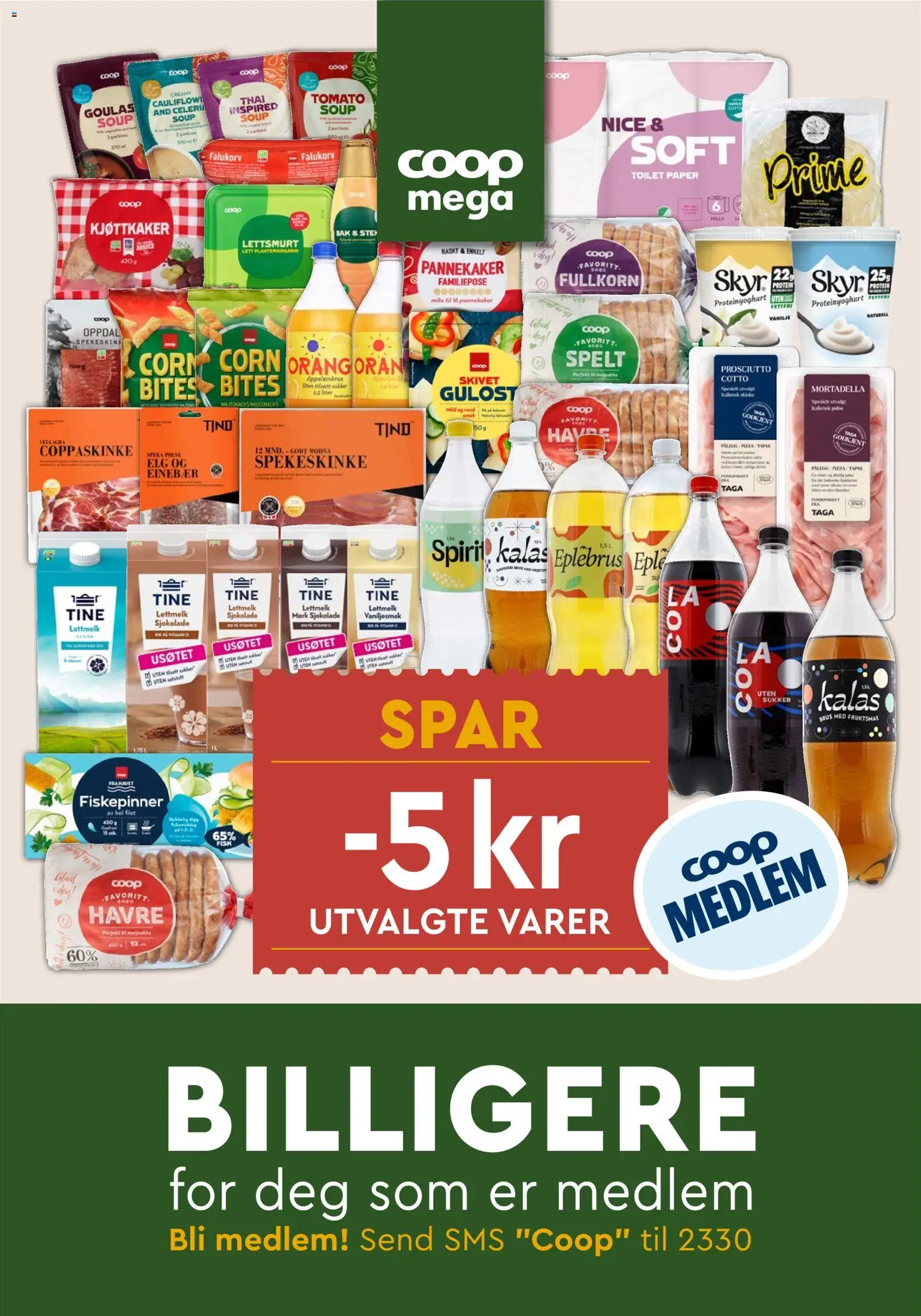 {H1} | Side: 31 | Produkter: Pizzadej, Kjøttkaker, Nattkräm, Mikrovalovka