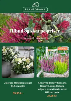 Plantorama - Tilbudsavis gyldig fra 19/10/2026