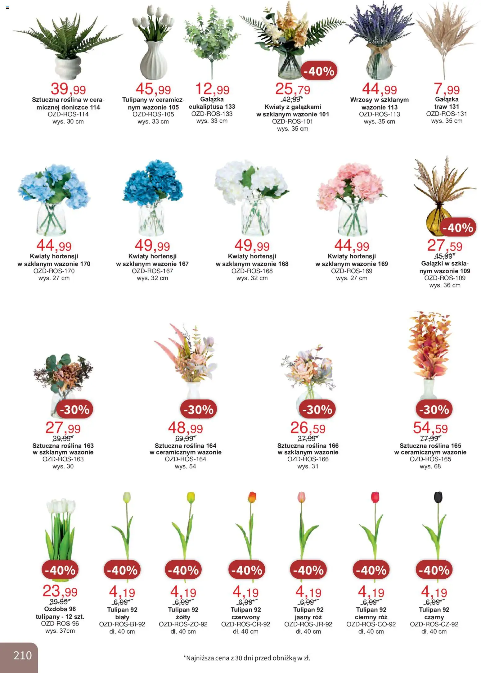 Bodzio Katalog od 01.10.2026 | Strona: 210 | Produkty: Róż, Tulipany, Kwiaty