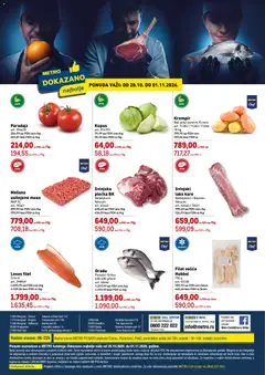 Metro katalog Dokazano - pregled Metro kataloga - važi od 28.10.2026