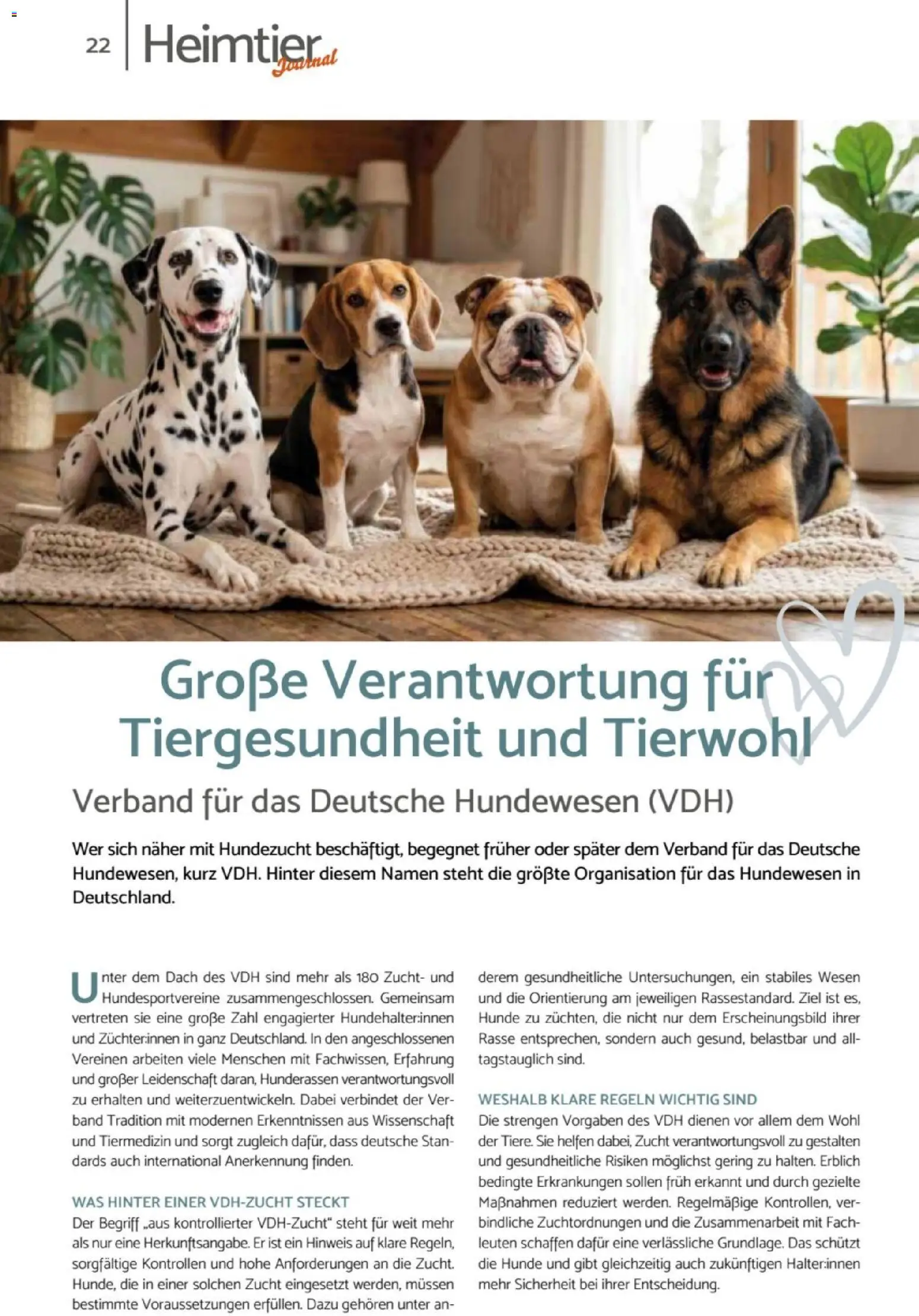 zookauf Heimtier Journal – gültig ab 01.07.2026 | Seite: 22