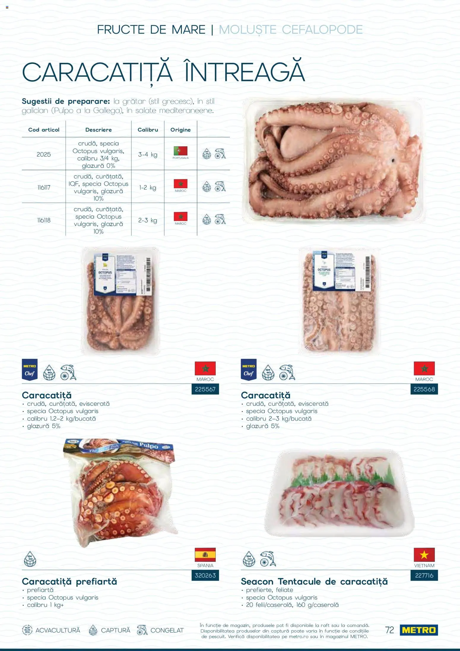 Noul catalog Metro – valabil de la 01.10.2026 | Pagină: 72 | Produse: Grătar, Raft, Fructe, Fructe De Mare