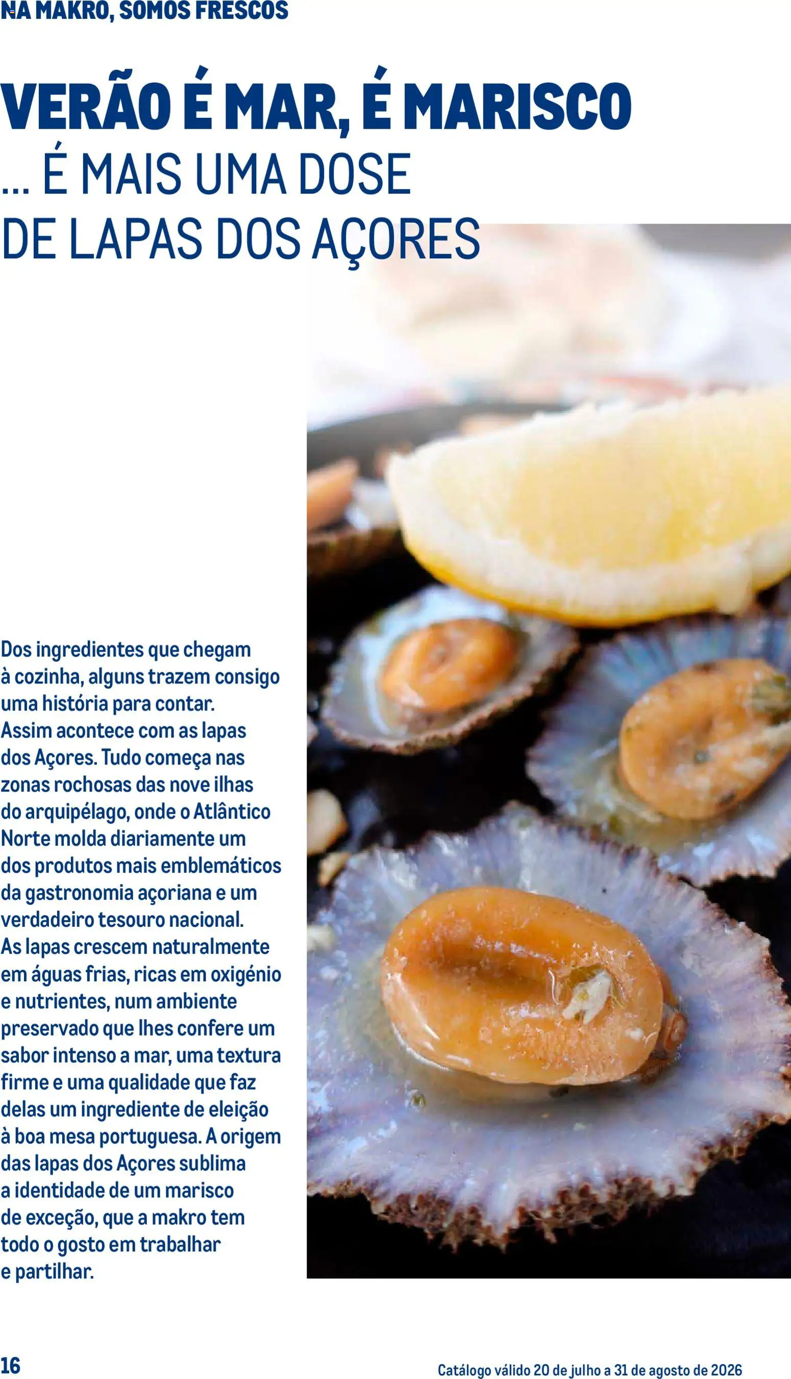 Makro Especial Peixe e Marisco │ válido de 20/07/2026 | Página: 16 | Produtos: Mesa