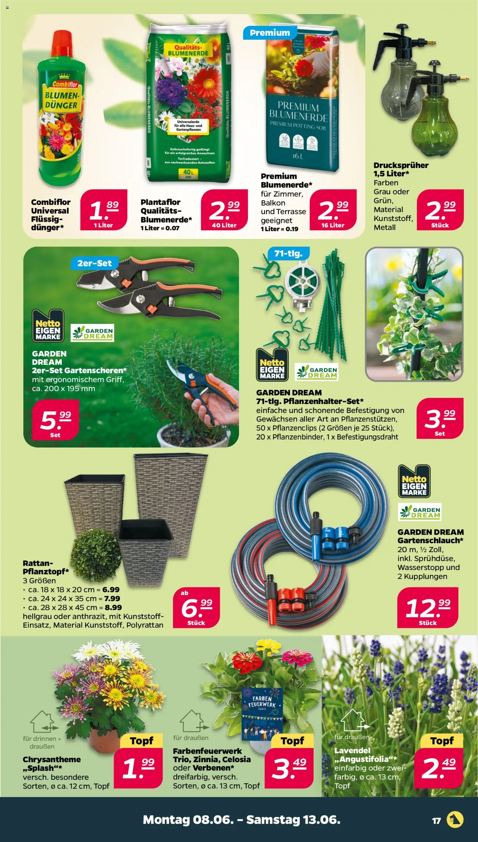 Netto Prospekt – gültig ab 08.06.2026 | Seite: 19 | Produkte: Blumen, Blumenerde, Lavendel