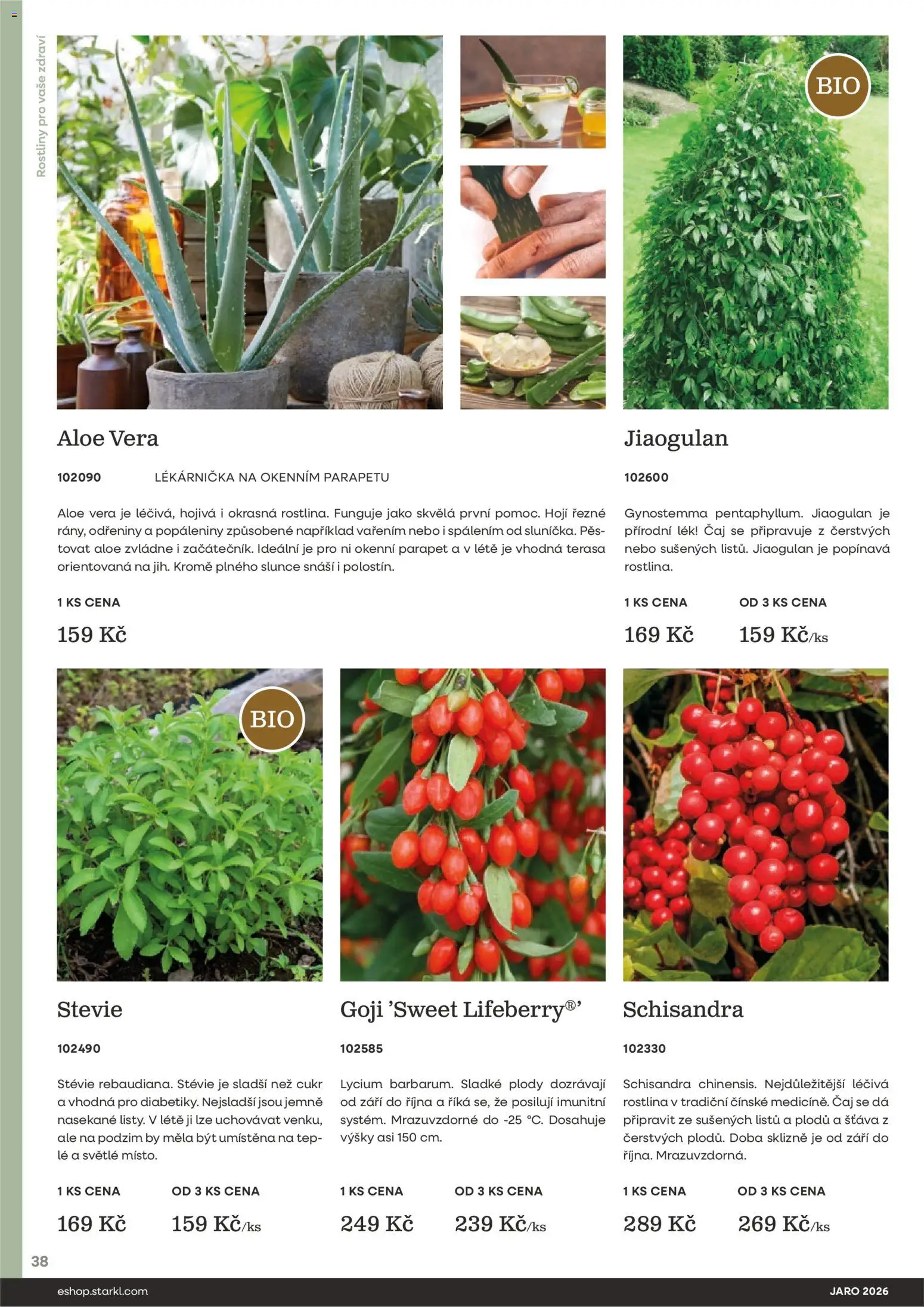 Starkl katalog Jaro 2026 od 25.02.2026 | Strana: 38 | Produkty: Rostliny, Aloe vera, Cukr, Pes