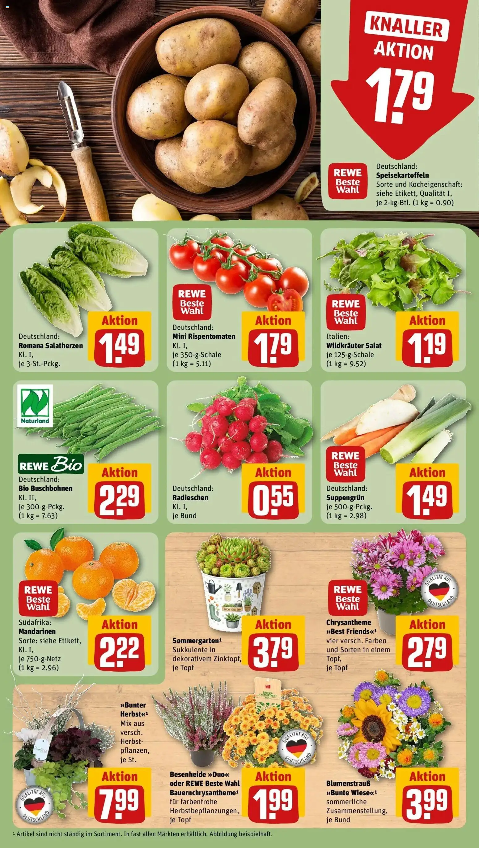 REWE Prospekt ab 07.09.2026 zum Blättern » Angebote | Seite: 7 | Produkte: Mandarinen, Salat