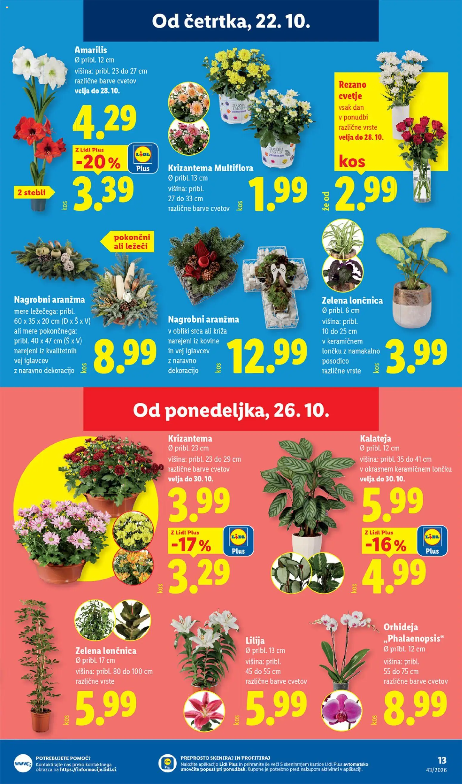 Novi Lidl katalog ponudbe – veljaven od 22.10.2026 | Stran: 25