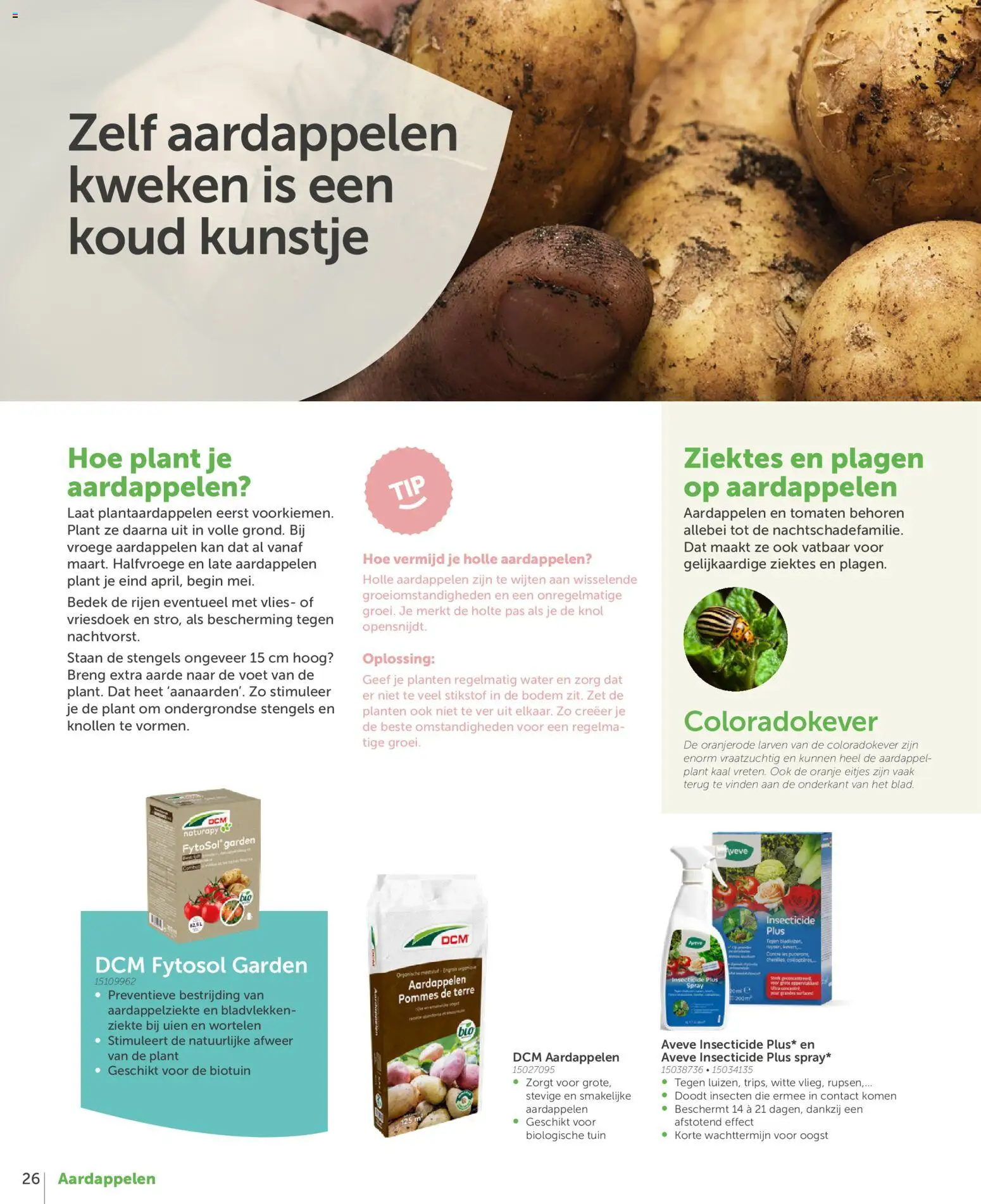 {H1} | Pagina: 26 | Producten: Tomaten, Aardappel, Wortelen, Kan