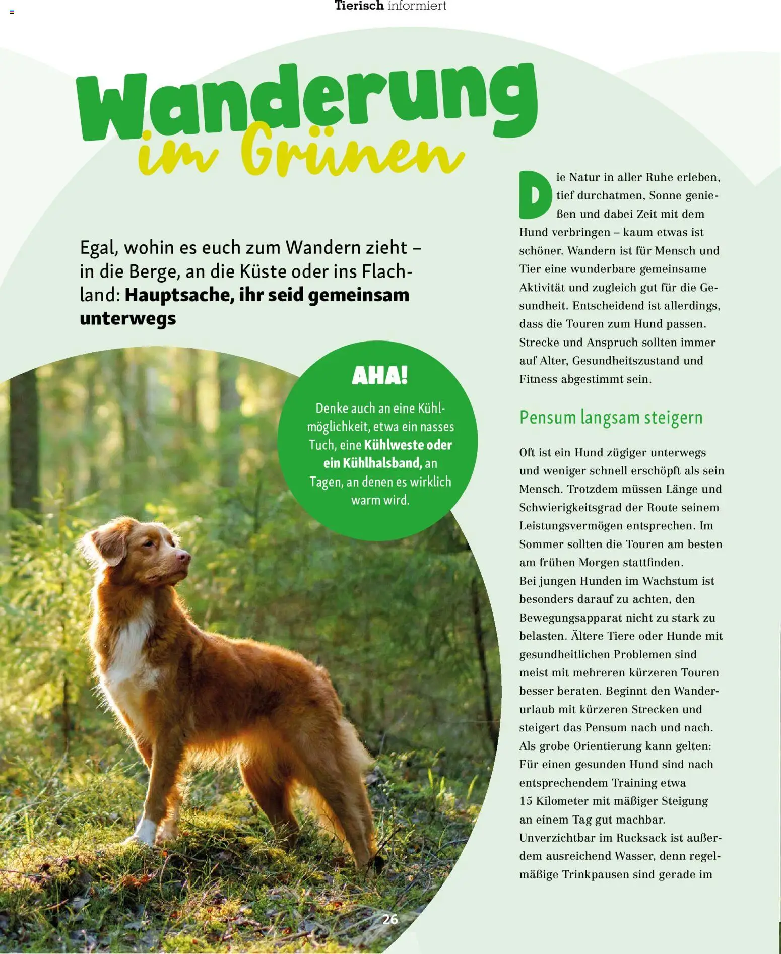 Fressnapf Friends Magazin – gültig ab 01.07.2026 | Seite: 26 | Produkte: Rucksack