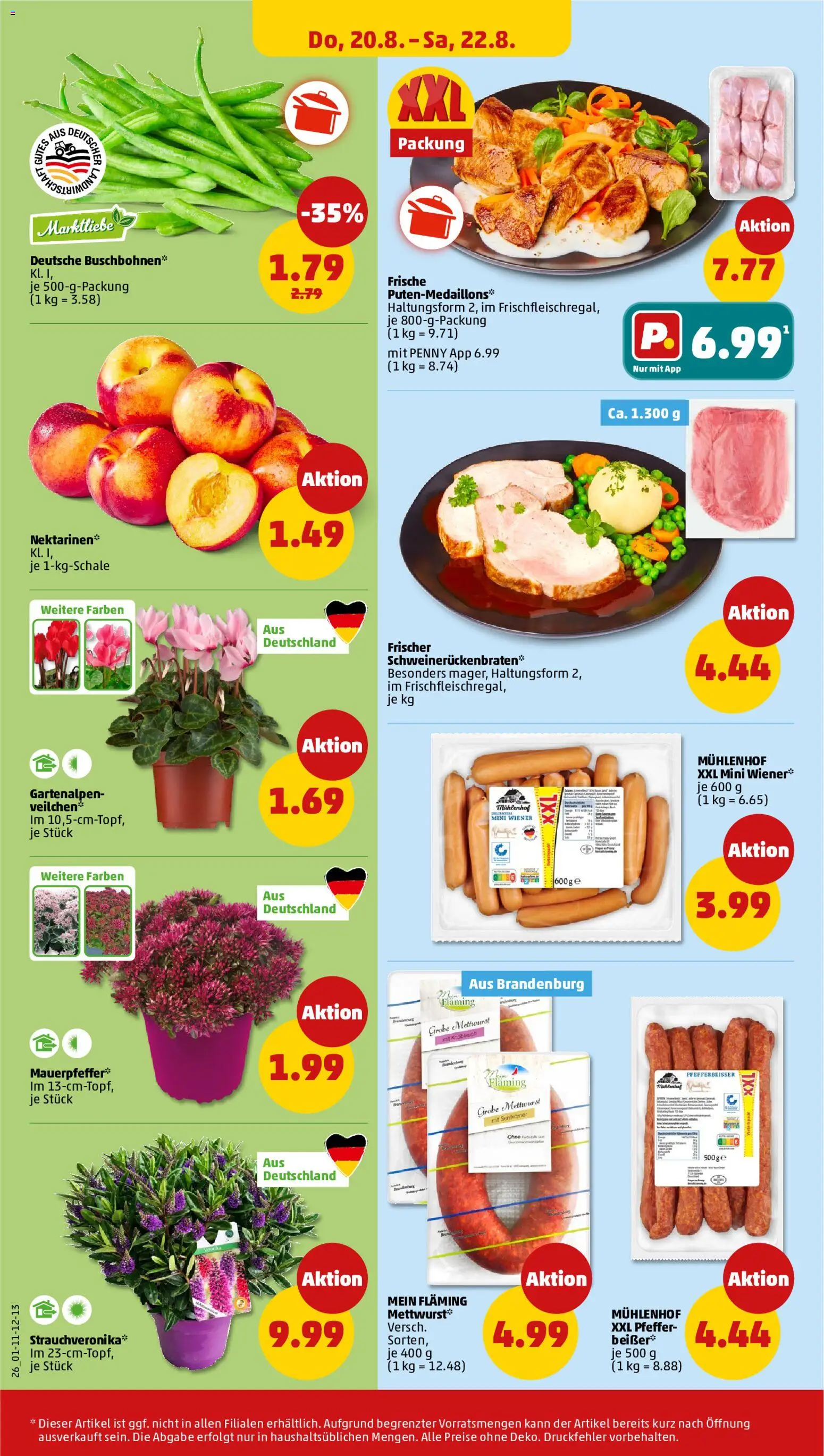 Penny Prospekt – gültig ab 17.08.2026 | Seite: 34 | Produkte: Nektarinen, Pfeffer, Knoblauch