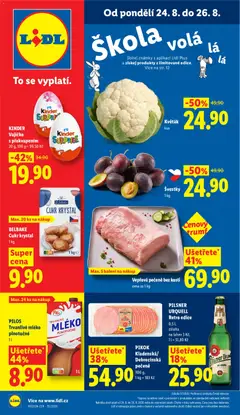 Náhled letáku Lidl leták od 24.08.2026