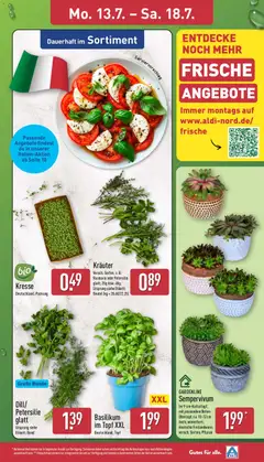 Dill/Petersilie glatt, Ursprung siehe Etikett; Bund ab 13.07.2026 gültig | Seite: 3 | Produkte: Petersilie