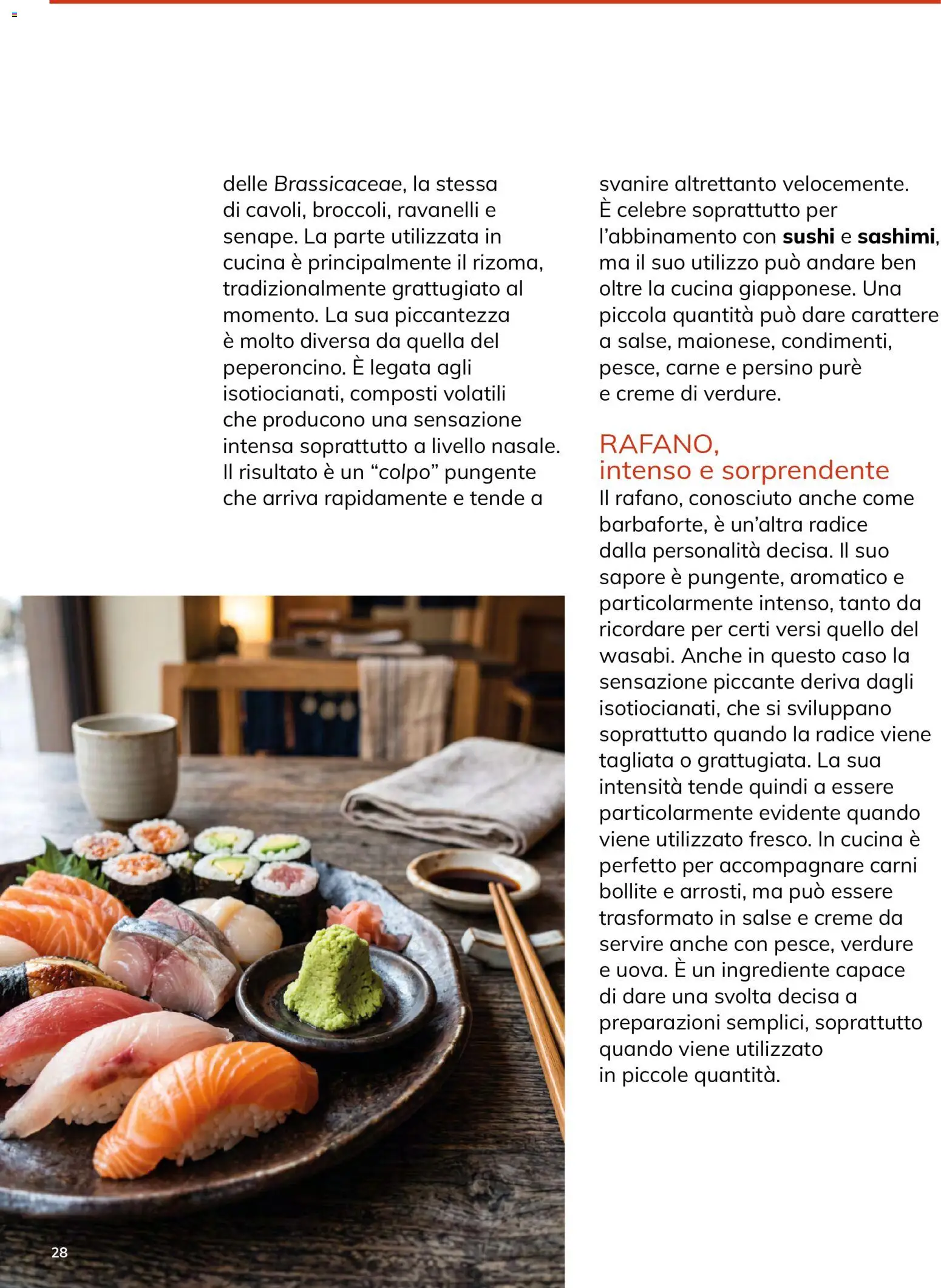Volantino Basko del 12/10/2026 | Pagina: 28 | Prodotti: Verdure, Carne, Salse, Sushi