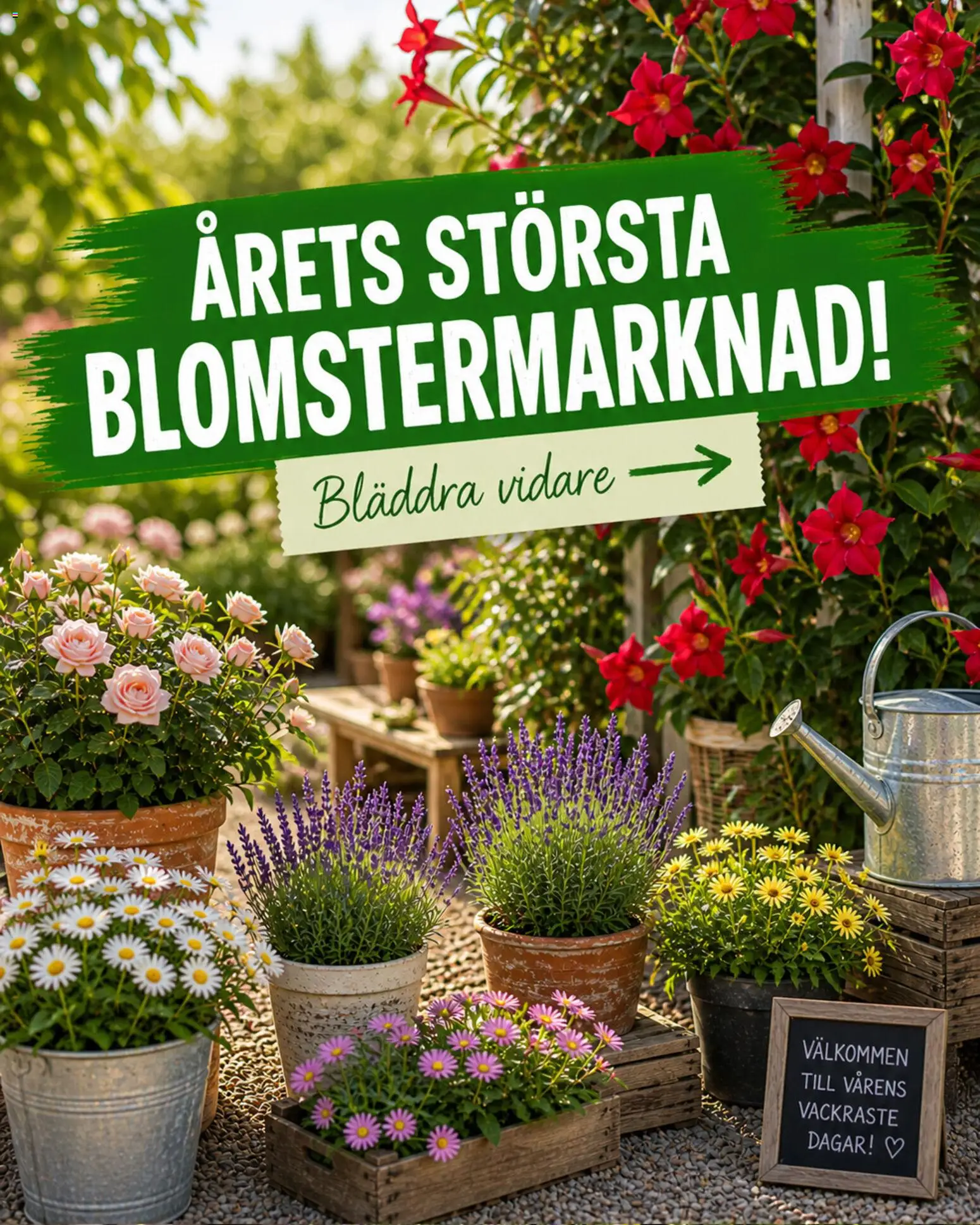 EKO reklamblad aktuell från 11.05.2026 | Sida: 1