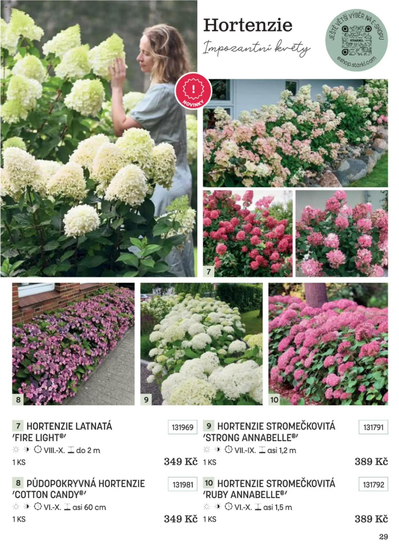 Starkl katalog Podzim 2026 od 01.09.2026 | Strana: 29