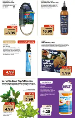 Zoo & co Prospekt ab 27.07.2026 gültig | Seite: 11 | Produkte: Garnelen, Wasser, Hose