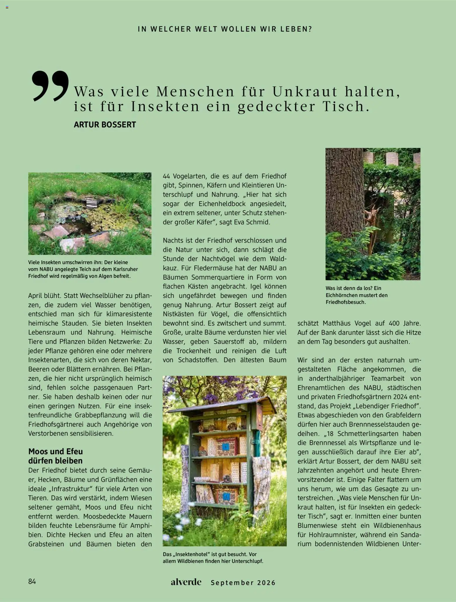 dm drogerie Prospekt – gültig ab 01.09.2026 | Seite: 84 | Produkte: Eier, Wasser, Kraut
