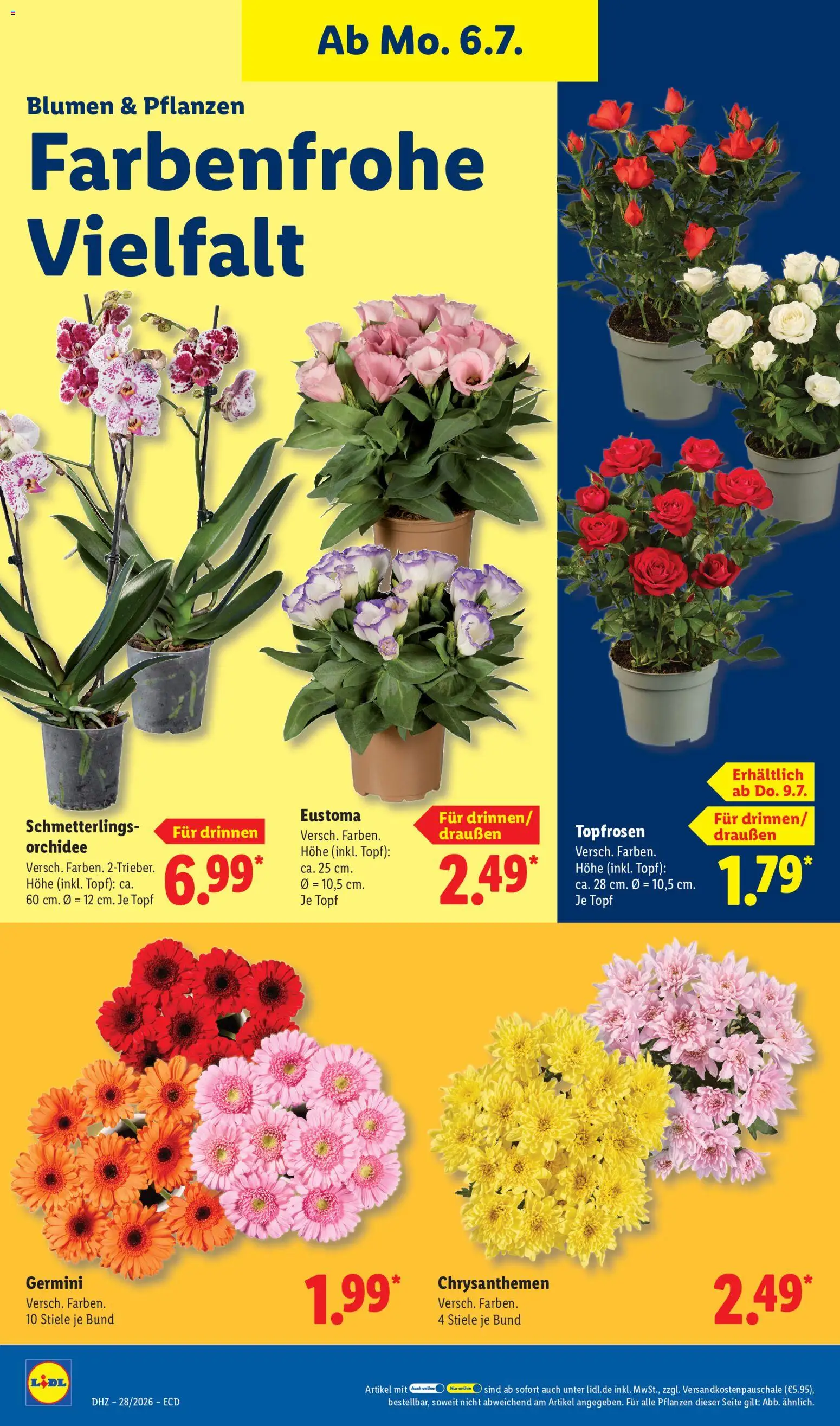 Lidl Prospekt – gültig ab 06.07.2026 | Seite: 22