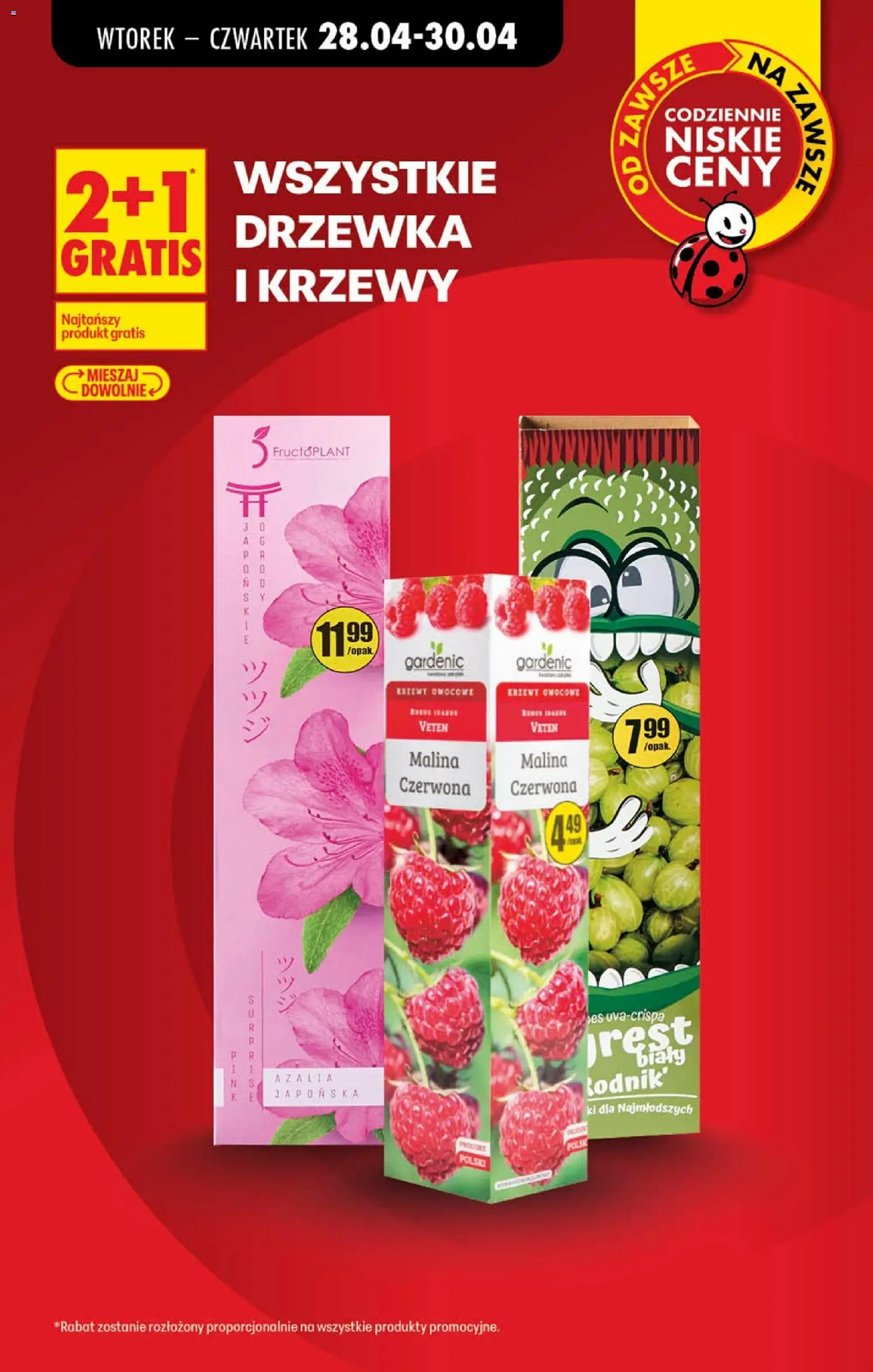 Biedronka gazetka od poniedziałku od 27.04.2026 | Strona: 12 | Produkty: Mango, Skrzydełka z kurczaka, Grill