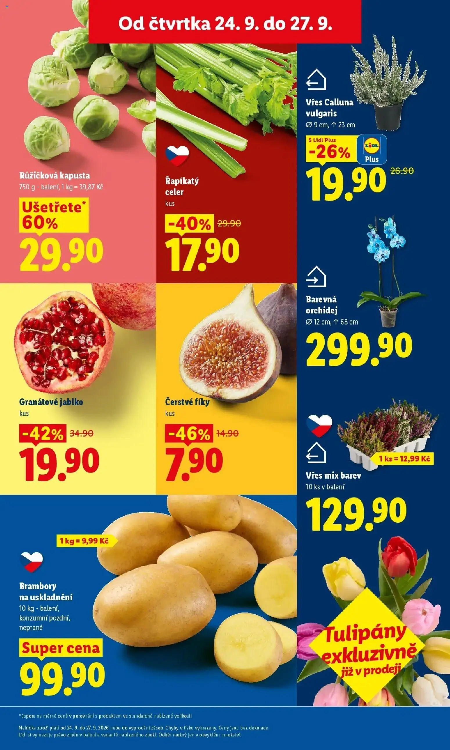 Lidl leták od 24.09.2026 - Nový akční leták | Strana: 15 | Produkty: Fíky, Řapíkatý celer, Brambory, Kapusta