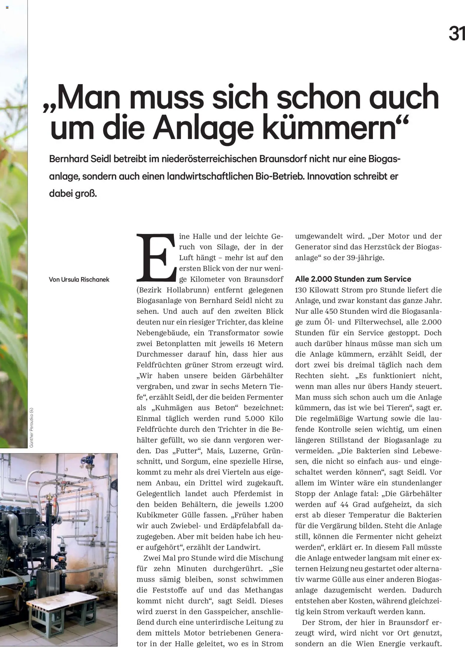Lagerhaus Unser Land Novomber 26 gültig ab 01.11.2026 | Seite: 31