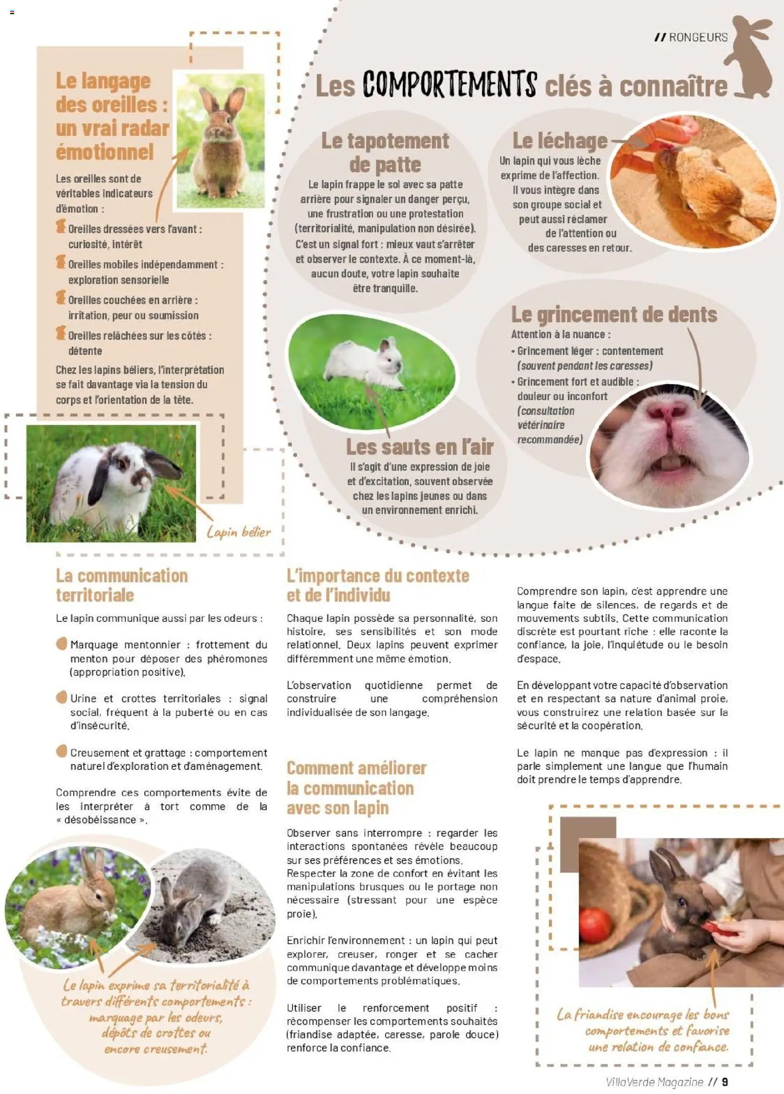 {H1} | Page: 9 | Produits: Lapin, Magazine