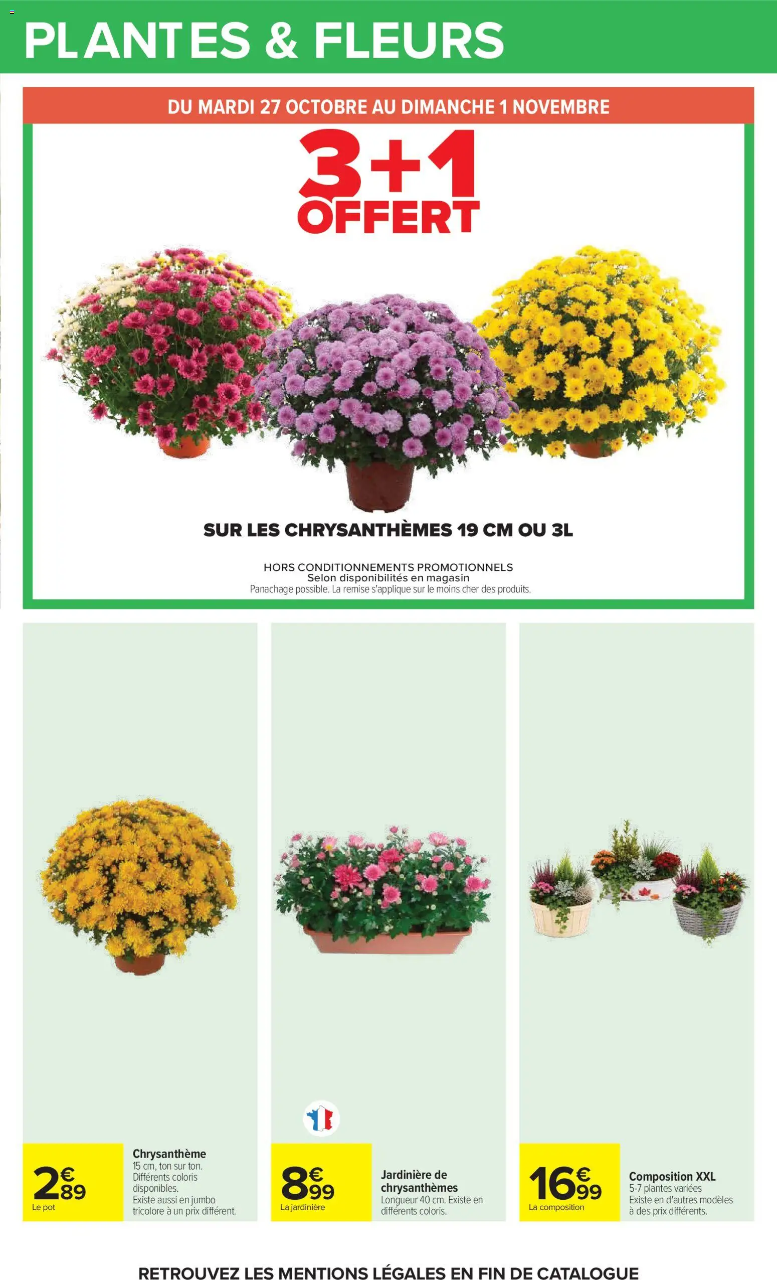 {H1} | Page: 29 | Produits: Plantes, Fleurs, Jardinière, Chrysanthème
