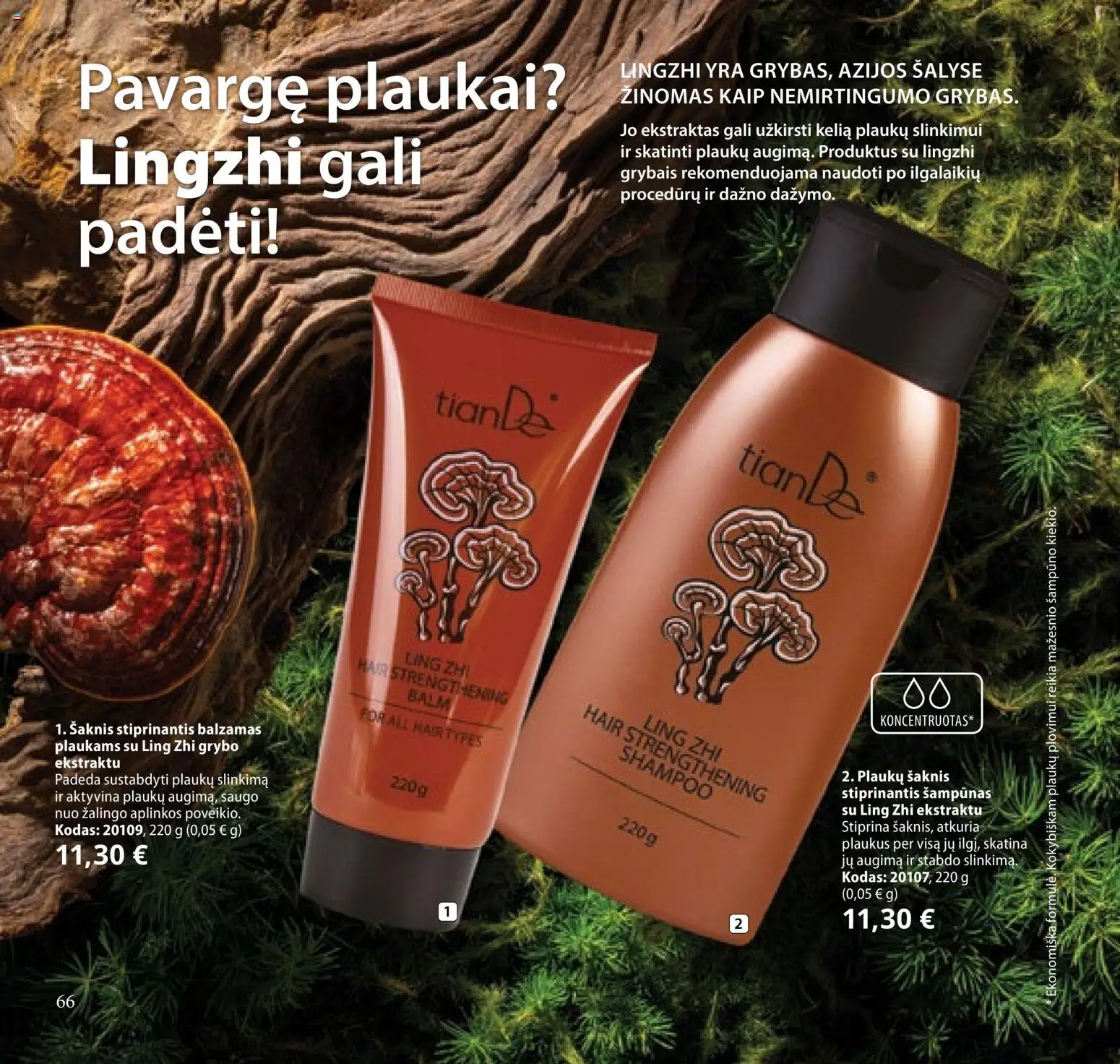 TianDe akcijos nuo 2026.02.10 | Puslapis: 66 | Prekių: Balzamas, Šampūnas