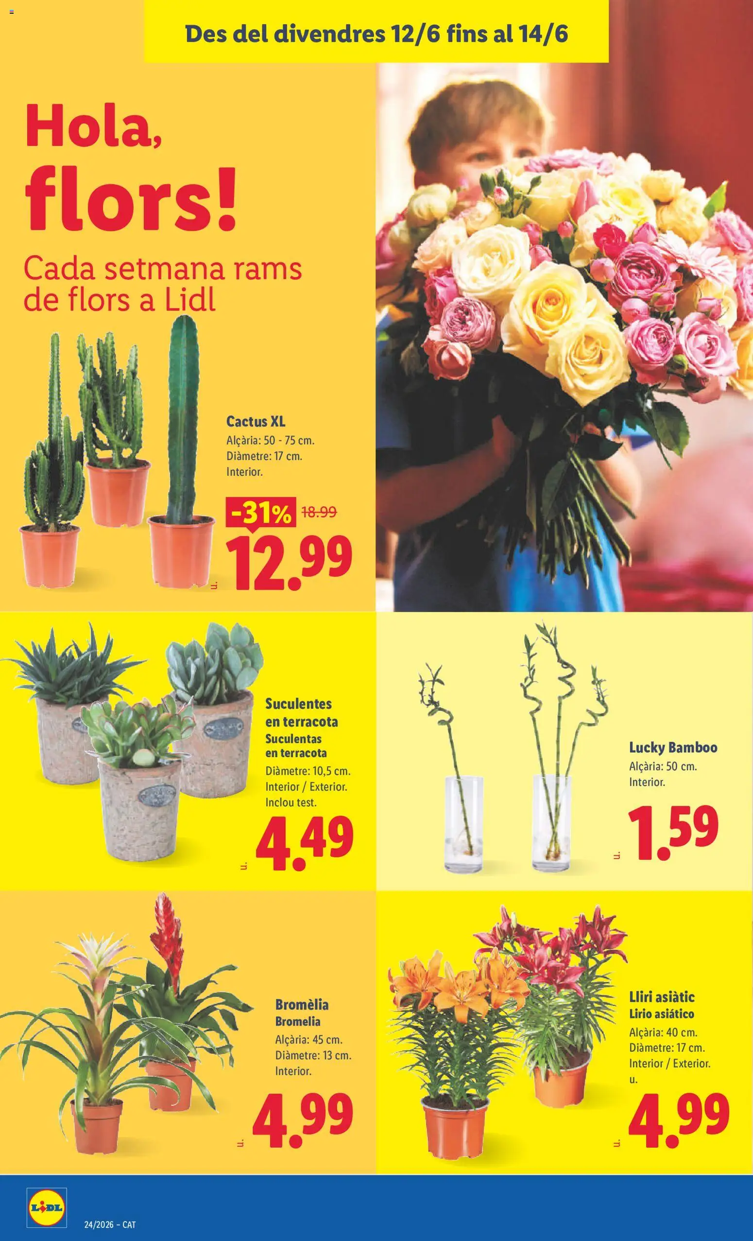 Lidl folleto │ válido desde el 08.06.2026 | Página: 50