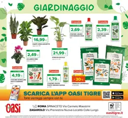 Anteprima del volantino Oasi volantino Roma valido a partire dal 14/09/2026 | Pagina: 32 | Prodotti: Concime, Terriccio, Torba, Vaso