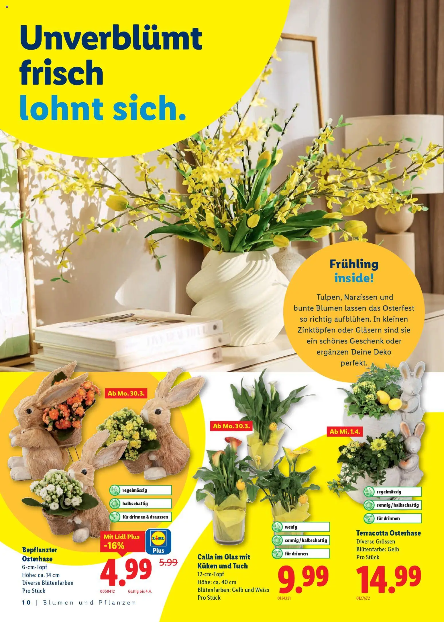 Lidl Aktionen Ostern – gültig ab 26.02.2026 | Seite: 10 | Produkte: Glas