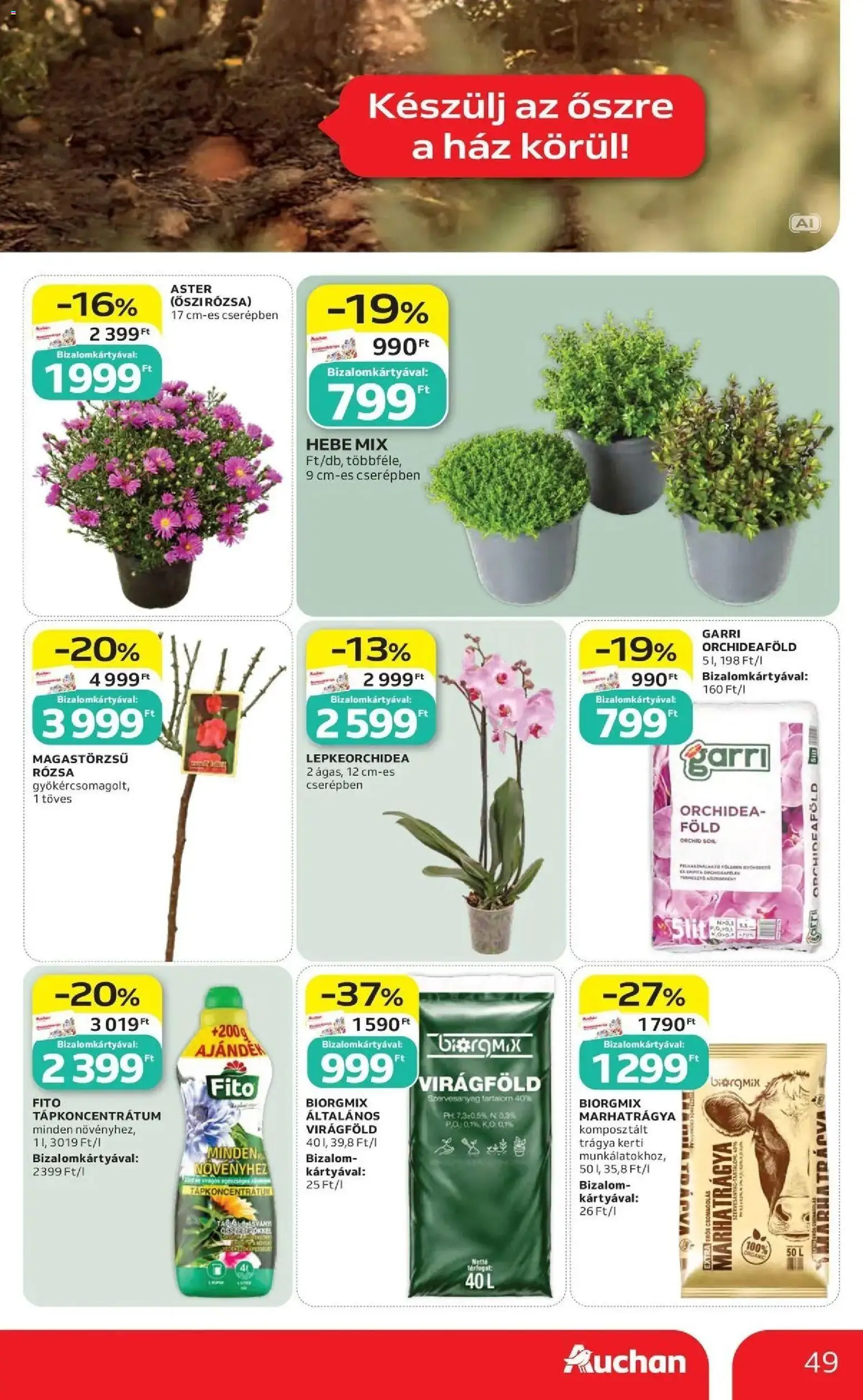 Auchan akciós újság Szolnok - 2026.10.01. -tól/töl > akció, lapozható szórólap 🛍️ | Oldal: 49 | Termékek: Föld, Orchidea, Marhatrágya, Általános virágföld