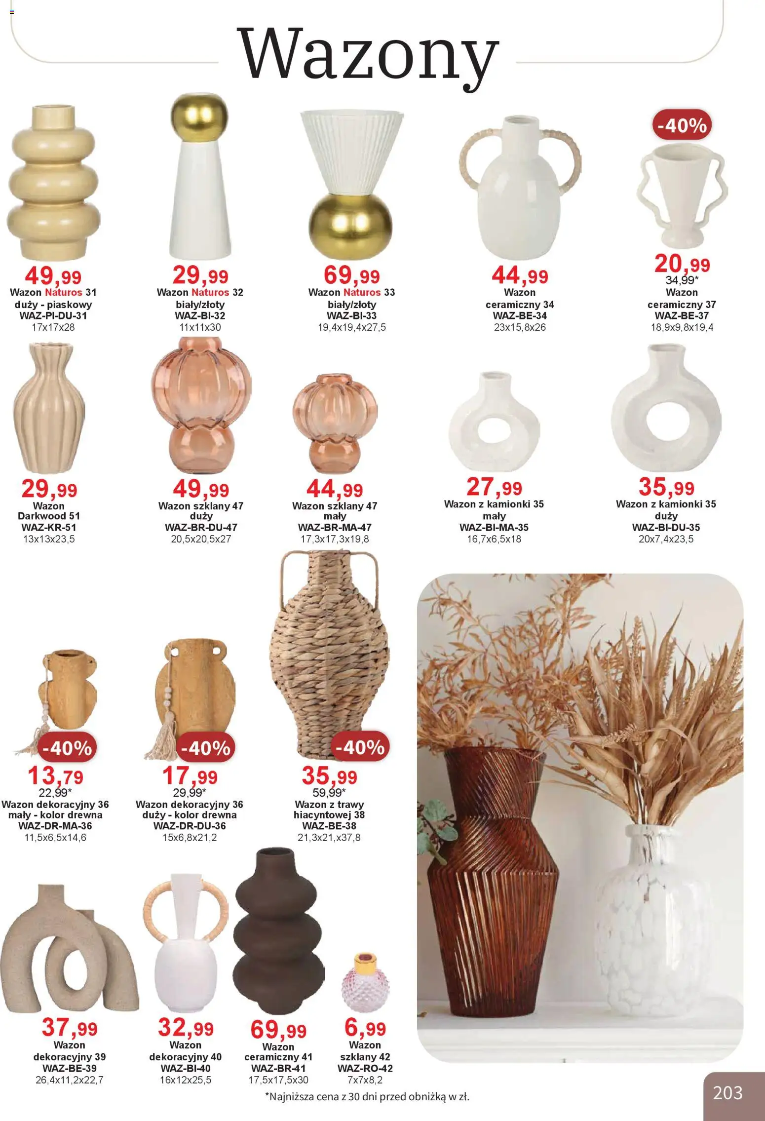 Bodzio Katalog od 01.04.2026 | Strona: 203 | Produkty: Trawy, Wazon