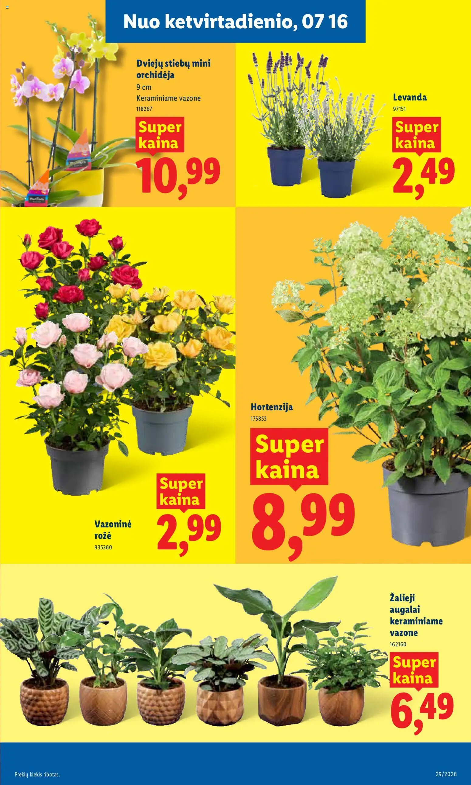 LIDL akcijos nuo 2026.07.13 | Puslapis: 11 | Prekių: Kiaulienos, Dešrelės