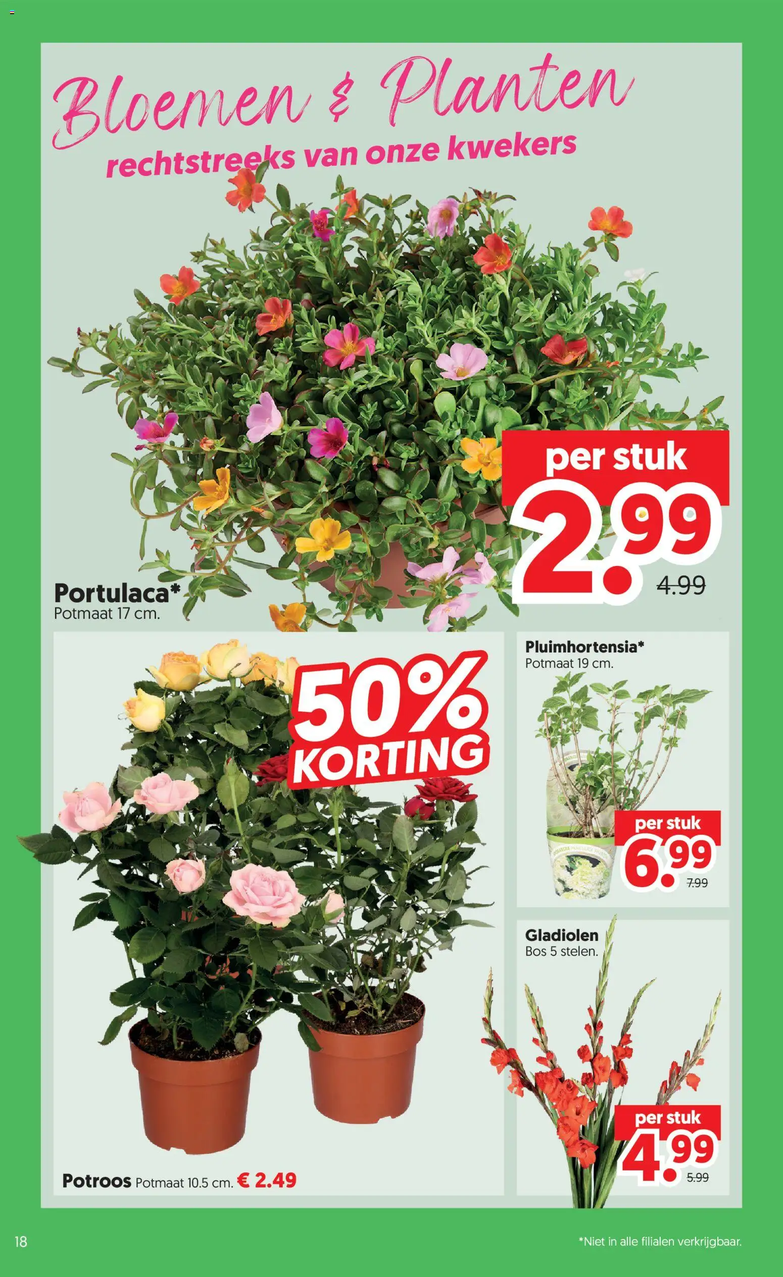 {H1} | Pagina: 18 | Producten: Bloemen