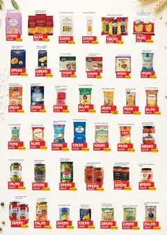 Medius katalog - pregled Medius kataloga - važi od 16.06.2026 | Strana: 9 | Proizvode: Krastavac, Ajvar, Grašak, Tagliatelle
