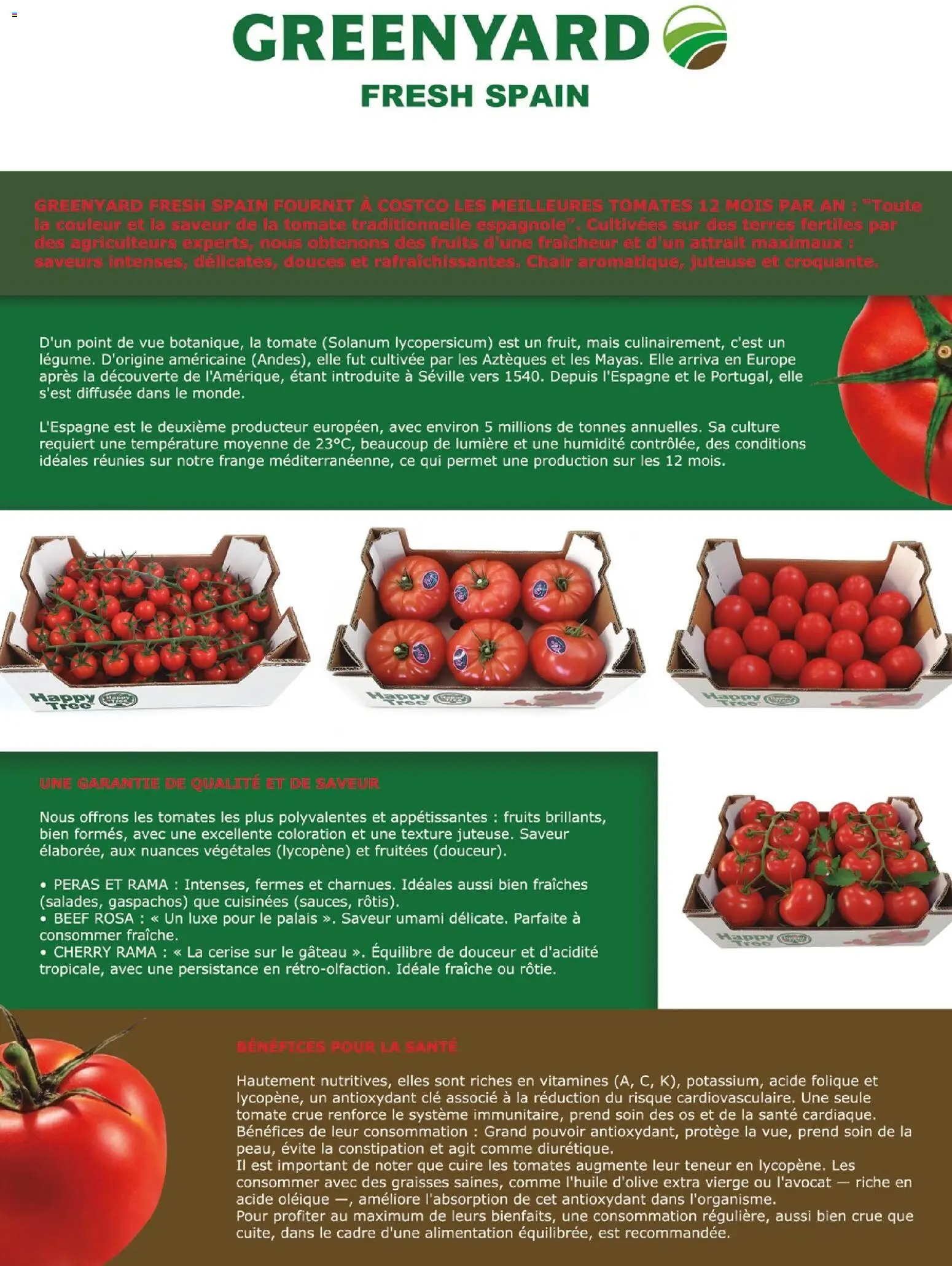 {H1} | Page: 140 | Produits: Clé, Coloration, Tomates, Cadre