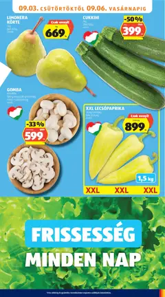 CUKKINI, Cukkini /kg 399 Ft/kg - amely érvényes a következő dátumtól: 2026.09.03. | Oldal: 7 | Termékek: Lecsópaprika, Cukkini, Gomba, Zöldség