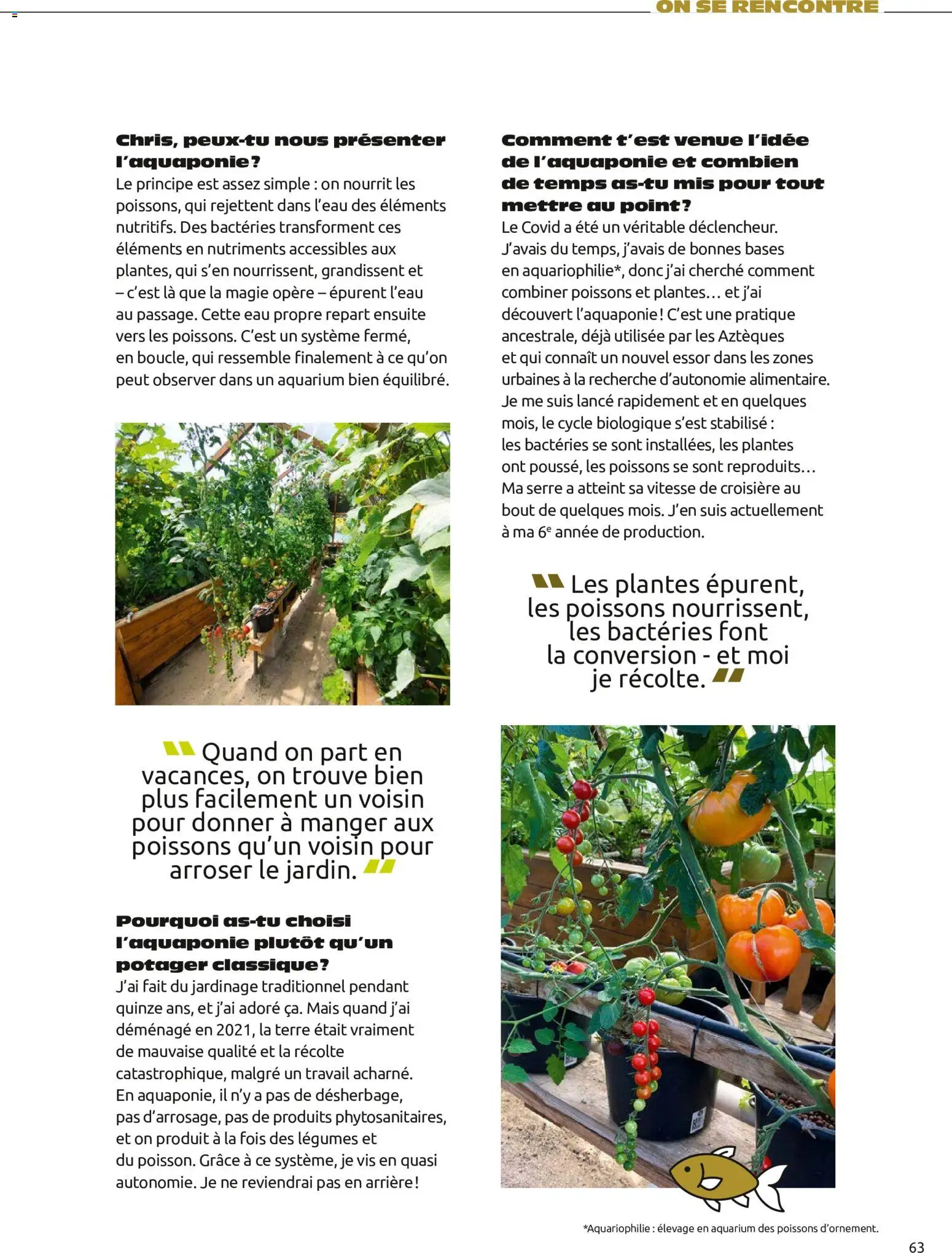 {H1} | Page: 63 | Produits: Jardinage, Potager, Mais, Aquarium